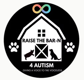 raise the bar-n logo
